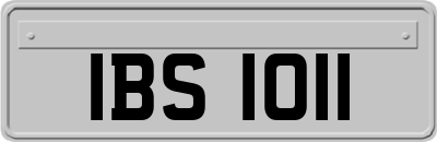 IBS1011