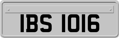 IBS1016