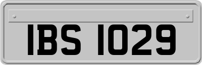 IBS1029