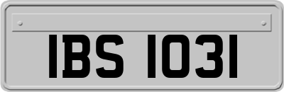 IBS1031
