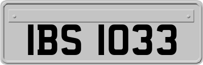 IBS1033