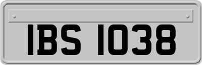 IBS1038