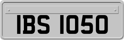 IBS1050