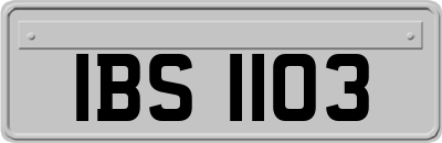 IBS1103