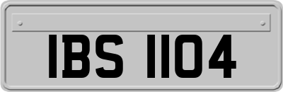 IBS1104