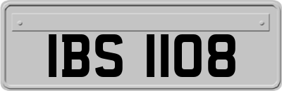 IBS1108