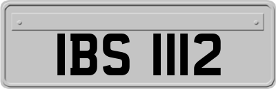 IBS1112