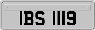 IBS1119