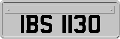 IBS1130
