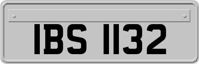 IBS1132