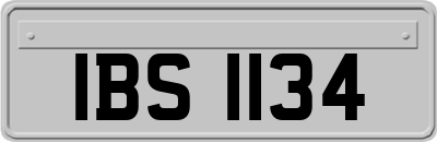 IBS1134