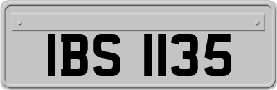 IBS1135