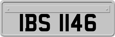 IBS1146