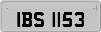 IBS1153