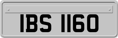 IBS1160