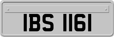 IBS1161