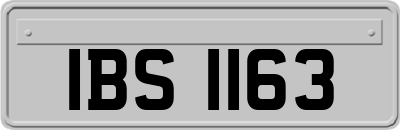 IBS1163