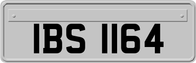 IBS1164