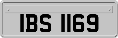IBS1169
