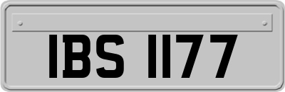 IBS1177