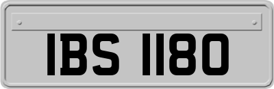 IBS1180