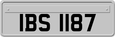 IBS1187