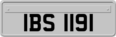 IBS1191