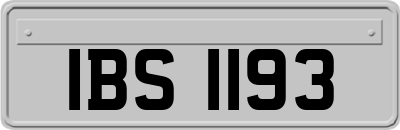 IBS1193