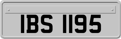 IBS1195
