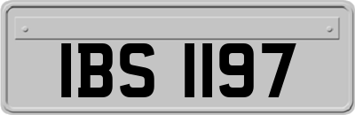 IBS1197