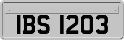 IBS1203