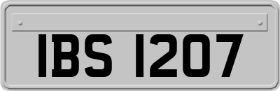 IBS1207