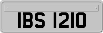 IBS1210
