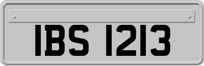 IBS1213