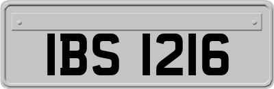 IBS1216