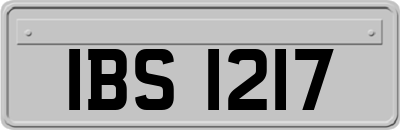 IBS1217