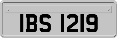 IBS1219