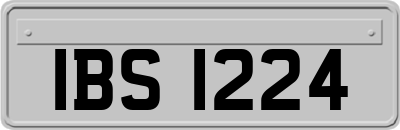 IBS1224