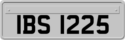IBS1225
