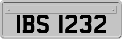 IBS1232
