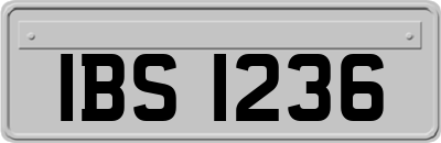 IBS1236