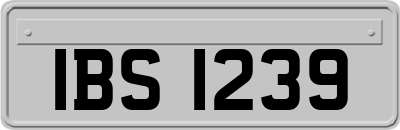 IBS1239
