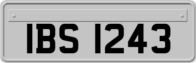 IBS1243