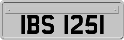 IBS1251