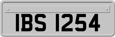 IBS1254