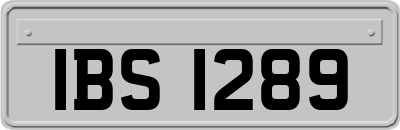IBS1289