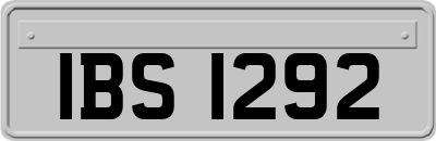 IBS1292