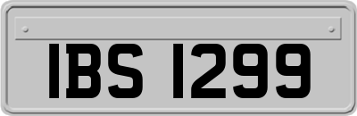 IBS1299