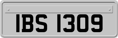IBS1309