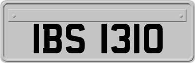 IBS1310